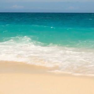 Meet your Posher, Tiana